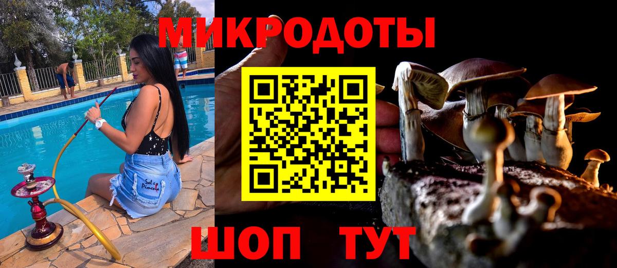Галлюциногенные грибы мухоморы  Вход с VPN  Галлюциногенные грибы ЛСД  Нарьян-Мар 